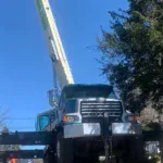 Affordable Tree Service