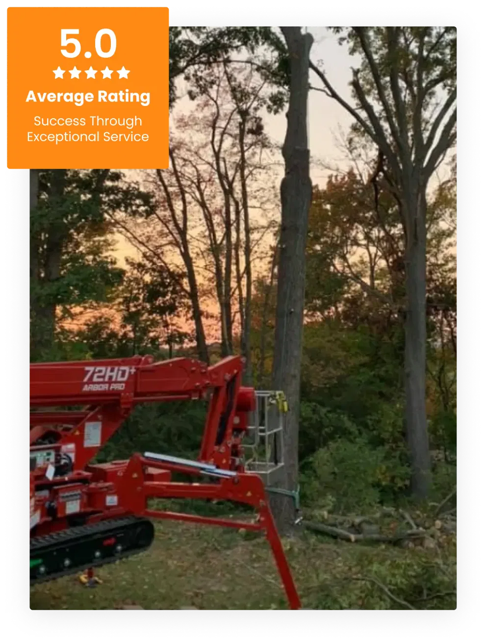 Commercial Tree Service
