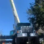 Affordable Tree Service