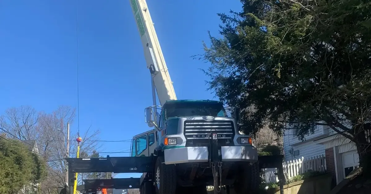 Affordable Tree Service