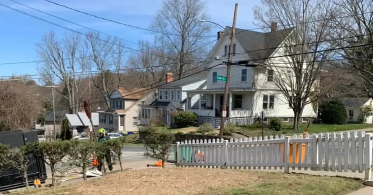 Professional Land Clearing