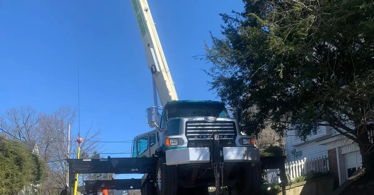 Affordable Tree Service