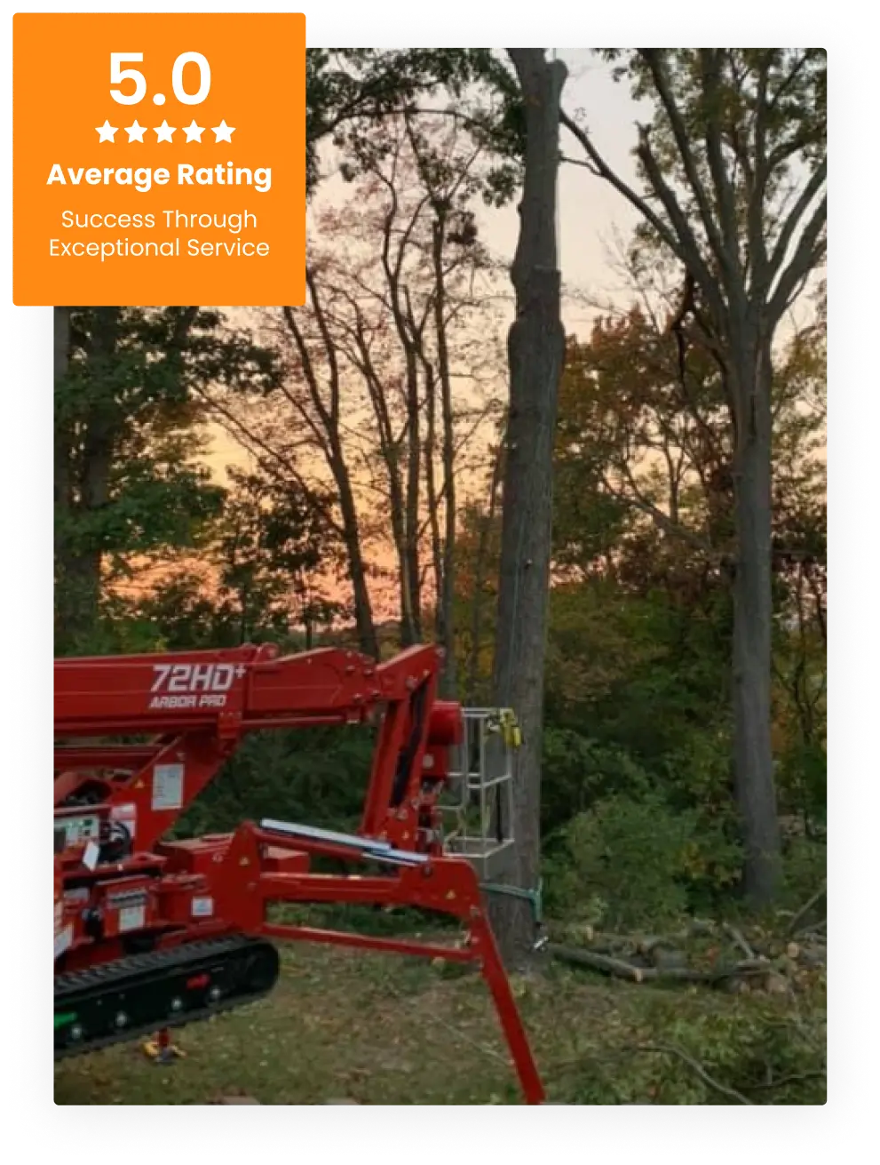 Advanced Tree Solutions crew — locally owned in Watertown, CT