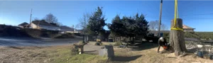 Advanced Tree Solutions of Connecticut Home Banner